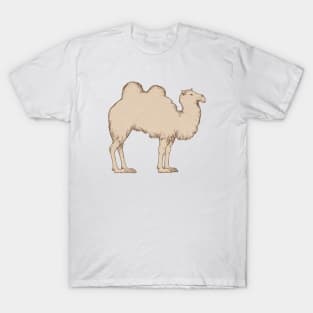 Plain Ole Doublehump Camel T-Shirt